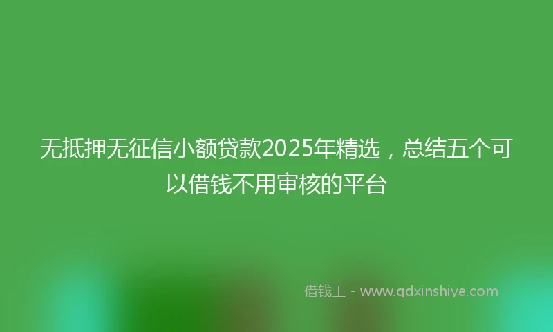 无抵押无征信小额贷款2025年精选,总结五个可以借钱不用审核的平台