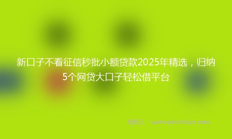 新口子不看征信秒批小额贷款2025年精选，归纳5个网贷大口子轻松借平台