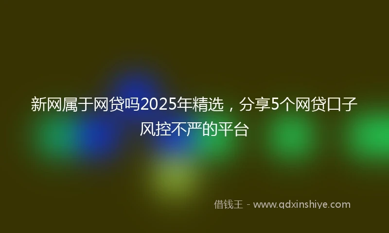 新网属于网贷吗2025年精选，分享5个网贷口子风控不严的平台