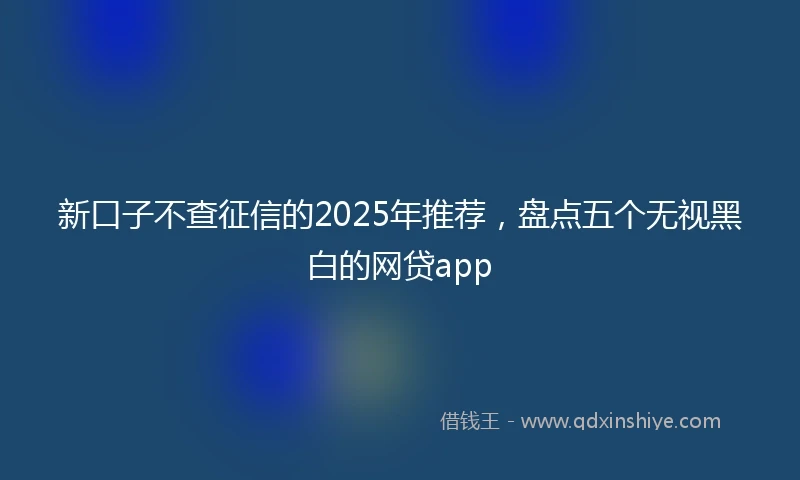 新口子不查征信的2025年推荐，盘点五个无视黑白的网贷app