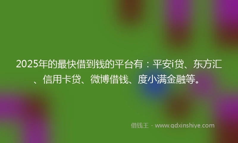 2025年的最快借到钱的平台有：平安i贷、东方汇、信用卡贷、微博借钱、度小满金融等。