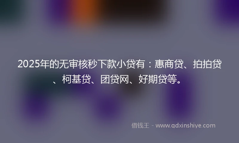 2025年的无审核秒下款小贷有：惠商贷、拍拍贷、柯基贷、团贷网、好期贷等。