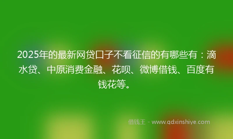 2025年的最新网贷口子不看征信的有哪些有：滴水贷、中原消费金融、花呗、微博借钱、百度有钱花等。