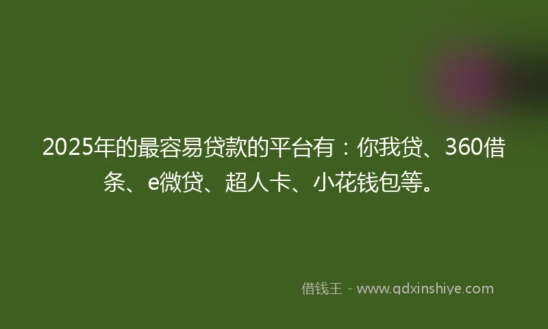 2025年的最容易贷款的平台有：你我贷、360借条、e微贷、超人卡、小花钱包等。