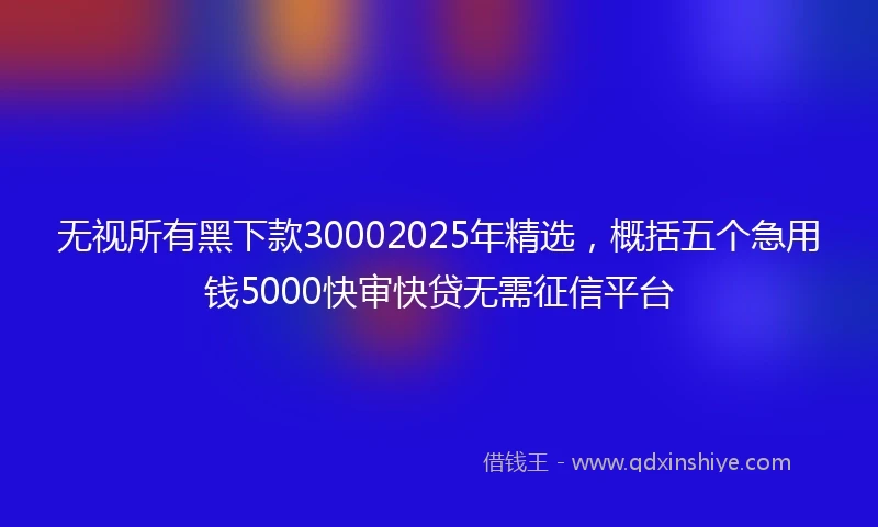 无视所有黑下款30002025年精选，概括五个急用钱5000快审快贷无需征信平台