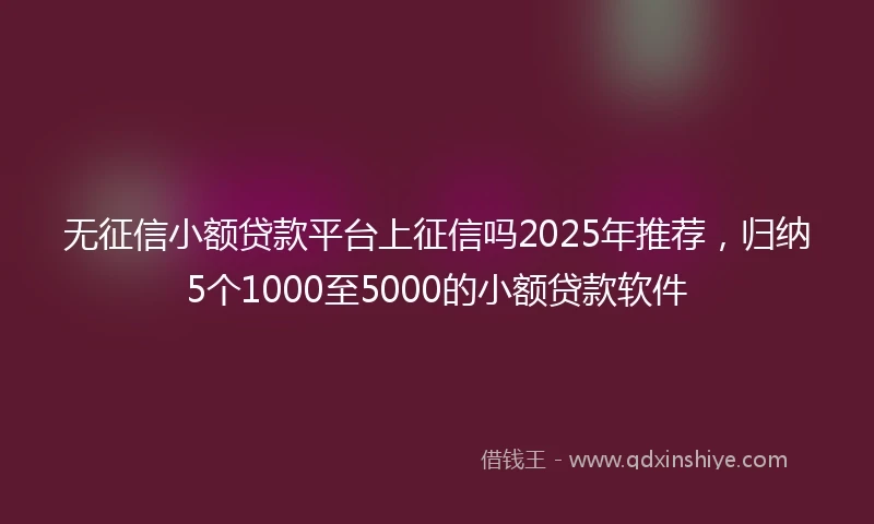 无征信小额贷款平台上征信吗2025年推荐，归纳5个1000至5000的小额贷款软件