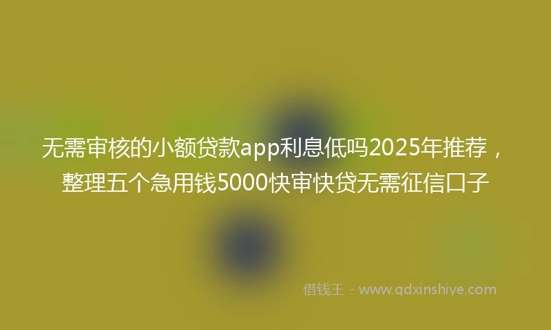 无需审核的小额贷款app利息低吗2025年推荐，整理五个急用钱5000快审快贷无需征信口子