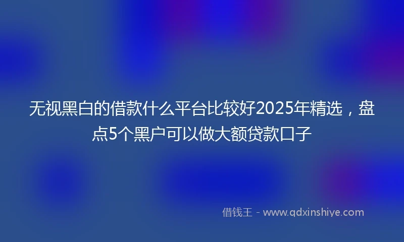 无视黑白的借款什么平台比较好2025年精选，盘点5个黑户可以做大额贷款口子