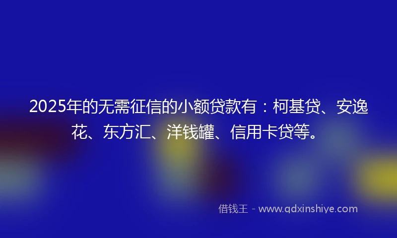2025年的无需征信的小额贷款有：柯基贷、安逸花、东方汇、洋钱罐、信用卡贷等。
