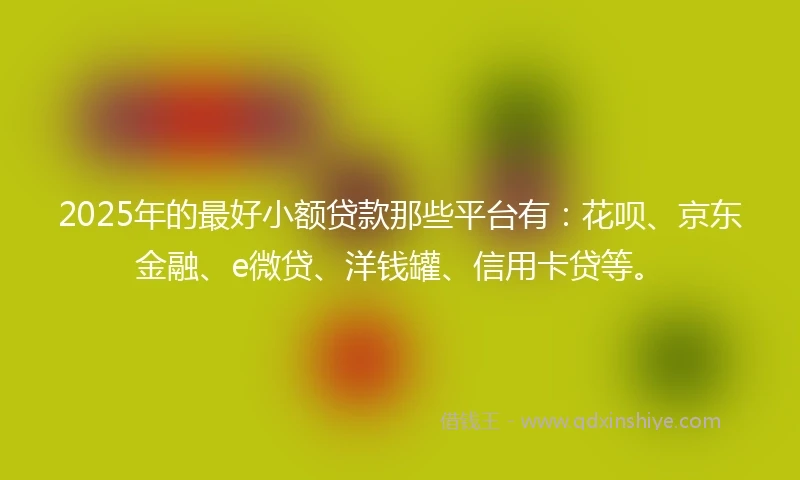 2025年的最好小额贷款那些平台有：花呗、京东金融、e微贷、洋钱罐、信用卡贷等。