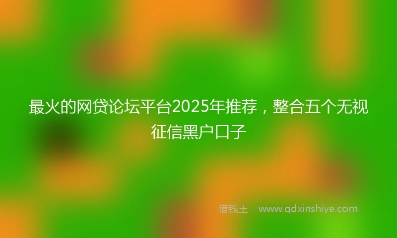 最火的网贷论坛平台2025年推荐,整合五个无视征信黑户口子