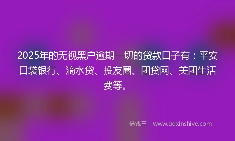 2025年的无视黑户逾期一切的贷款口子有：平安口袋银行、滴水贷、投友圈、团贷网、美团生活费等。