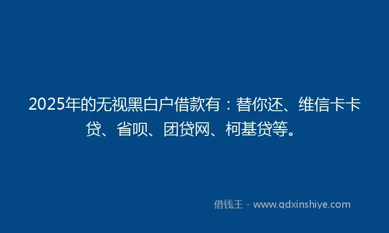 2025年的无视黑白户借款有：替你还、维信卡卡贷、省呗、团贷网、柯基贷等。