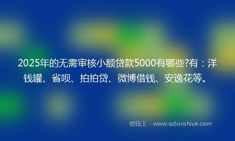 2025年的无需审核小额贷款5000有哪些?有：洋钱罐、省呗、拍拍贷、微博借钱、安逸花等。