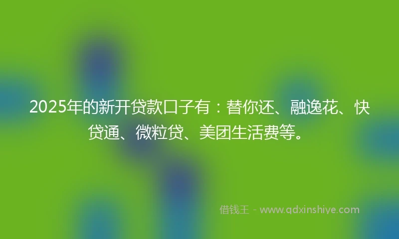 2025年的新开贷款口子有：替你还、融逸花、快贷通、微粒贷、美团生活费等。