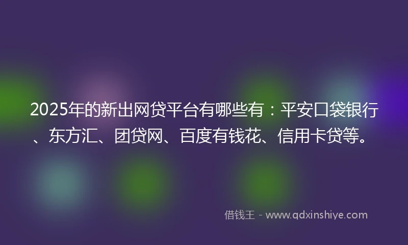 2025年的新出网贷平台有哪些有：平安口袋银行、东方汇、团贷网、百度有钱花、信用卡贷等。