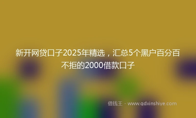 新开网贷口子2025年精选，汇总5个黑户百分百不拒的2000借款口子