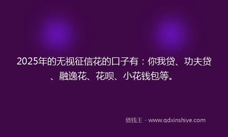 2025年的无视征信花的口子有：你我贷、功夫贷、融逸花、花呗、小花钱包等。