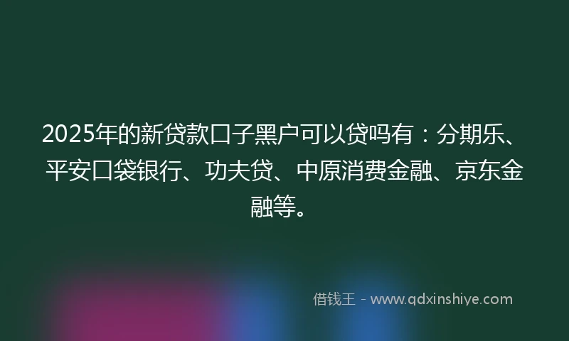 2025年的新贷款口子黑户可以贷吗有：分期乐、平安口袋银行、功夫贷、中原消费金融、京东金融等。