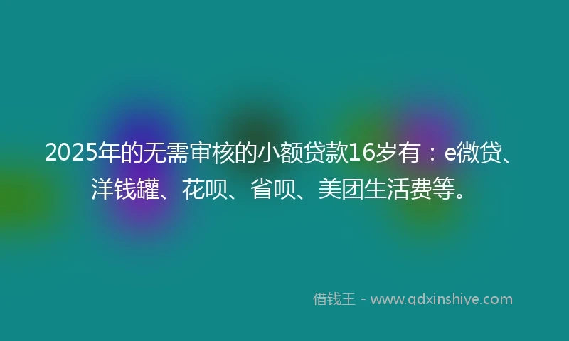 2025年的无需审核的小额贷款16岁有：e微贷、洋钱罐、花呗、省呗、美团生活费等。