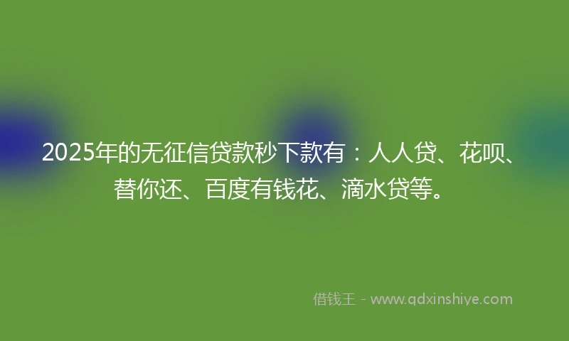 2025年的无征信贷款秒下款有：人人贷、花呗、替你还、百度有钱花、滴水贷等。