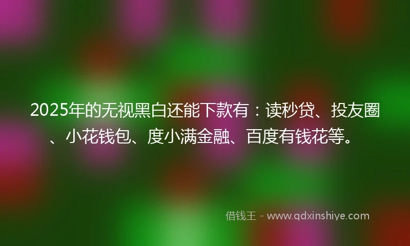 2025年的无视黑白还能下款有：读秒贷、投友圈、小花钱包、度小满金融、百度有钱花等。