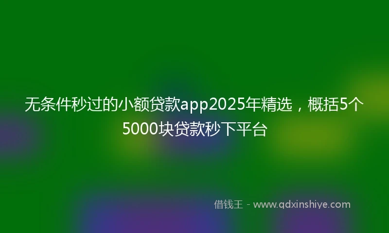 无条件秒过的小额贷款app2025年精选，概括5个5000块贷款秒下平台