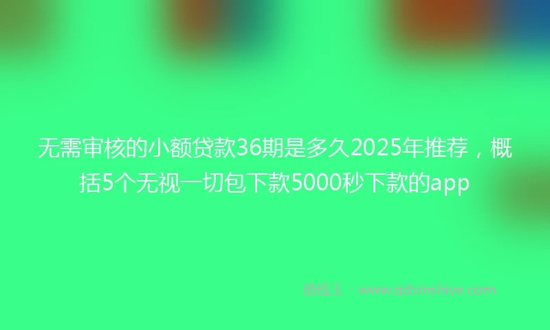 无需审核的小额贷款36期是多久2025年推荐，概括5个无视一切包下款5000秒下款的app