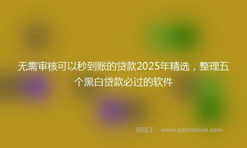 无需审核可以秒到账的贷款2025年精选,整理五个黑白贷款必过的软件