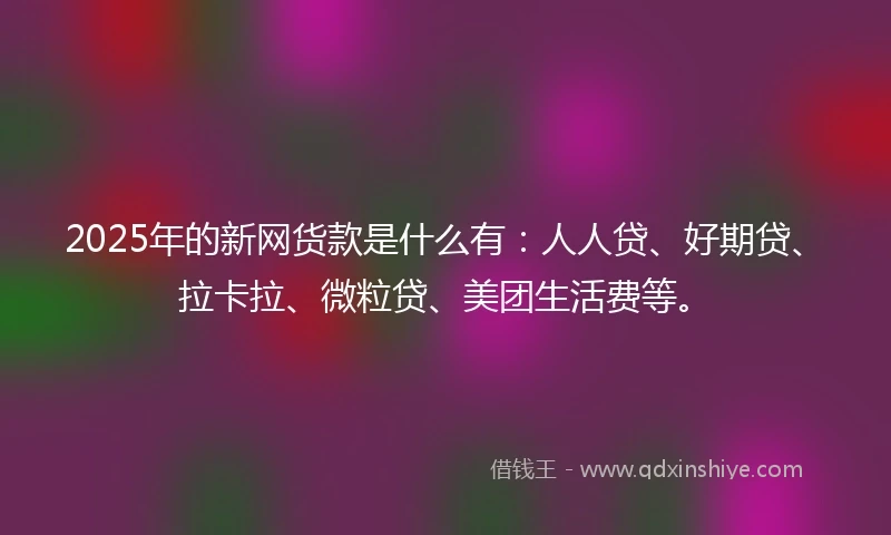 2025年的新网货款是什么有：人人贷、好期贷、拉卡拉、微粒贷、美团生活费等。