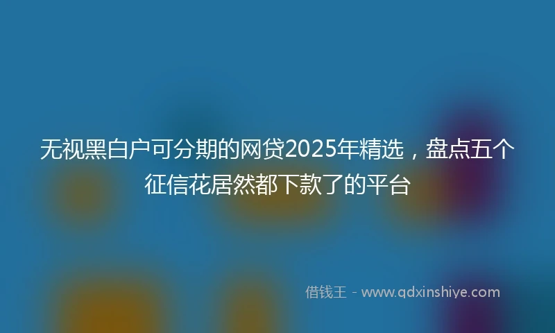 无视黑白户可分期的网贷2025年精选，盘点五个征信花居然都下款了的平台