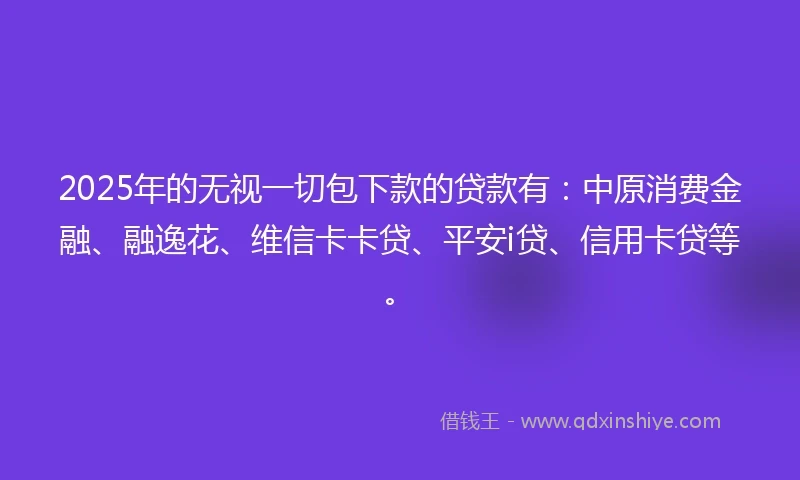2025年的无视一切包下款的贷款有：中原消费金融、融逸花、维信卡卡贷、平安i贷、信用卡贷等。