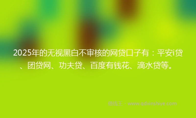 2025年的无视黑白不审核的网贷口子有:平安i贷、团贷网、功夫贷、百度有钱花、滴水贷等。