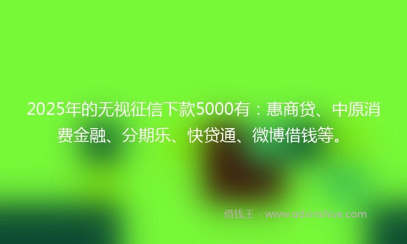 2025年的无视征信下款5000有：惠商贷、中原消费金融、分期乐、快贷通、微博借钱等。