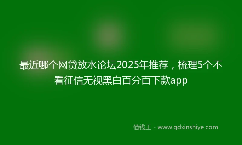 最近哪个网贷放水论坛2025年推荐，梳理5个不看征信无视黑白百分百下款app