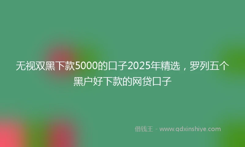 无视双黑下款5000的口子2025年精选，罗列五个黑户好下款的网贷口子