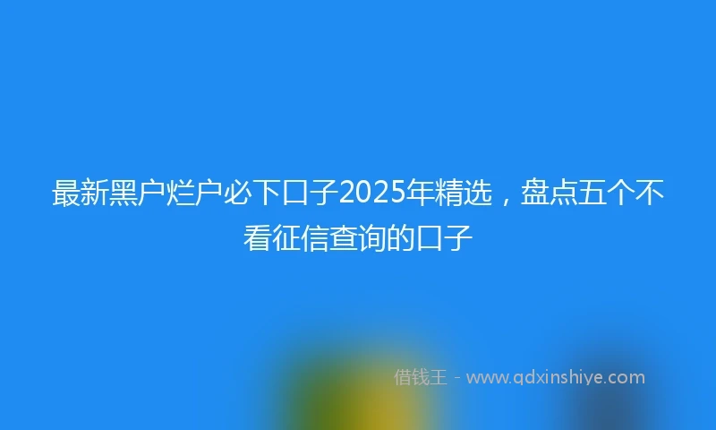 最新黑户烂户必下口子2025年精选，盘点五个不看征信查询的口子