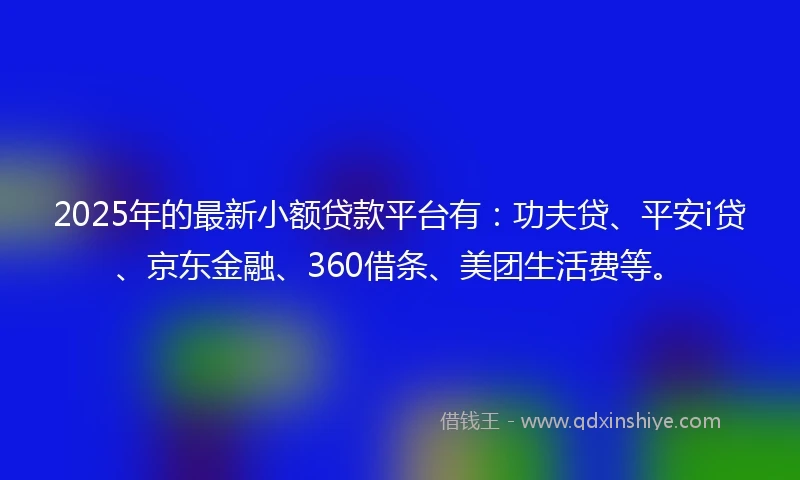 2025年的最新小额贷款平台有：功夫贷、平安i贷、京东金融、360借条、美团生活费等。