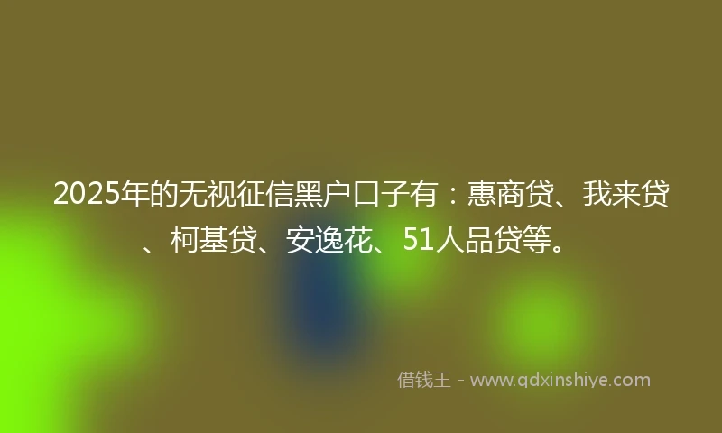 2025年的无视征信黑户口子有：惠商贷、我来贷、柯基贷、安逸花、51人品贷等。