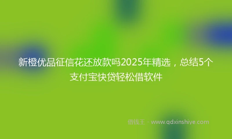 新橙优品征信花还放款吗2025年精选，总结5个支付宝快贷轻松借软件