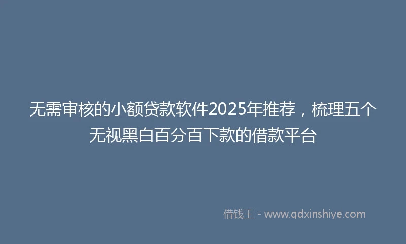无需审核的小额贷款软件2025年推荐，梳理五个无视黑白百分百下款的借款平台