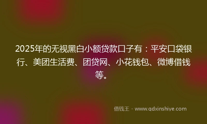 2025年的无视黑白小额贷款口子有：平安口袋银行、美团生活费、团贷网、小花钱包、微博借钱等。
