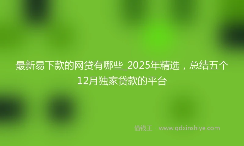 最新易下款的网贷有哪些_2025年精选，总结五个12月独家贷款的平台