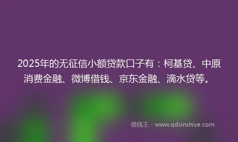 2025年的无征信小额贷款口子有：柯基贷、中原消费金融、微博借钱、京东金融、滴水贷等。
