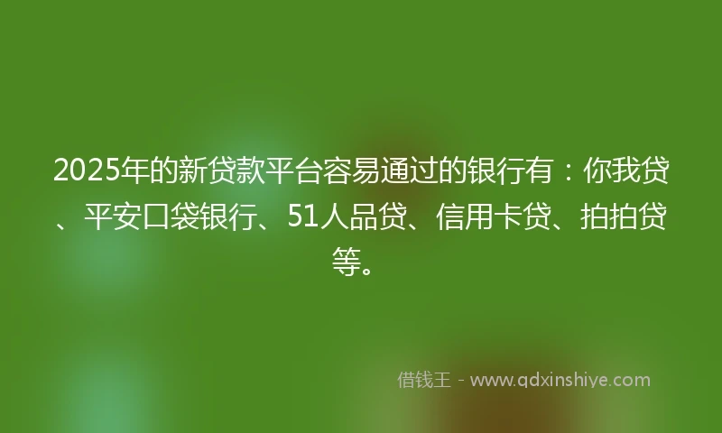 2025年的新贷款平台容易通过的银行有：你我贷、平安口袋银行、51人品贷、信用卡贷、拍拍贷等。