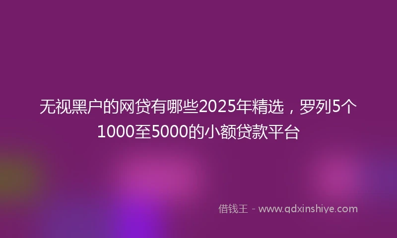 无视黑户的网贷有哪些2025年精选，罗列5个1000至5000的小额贷款平台