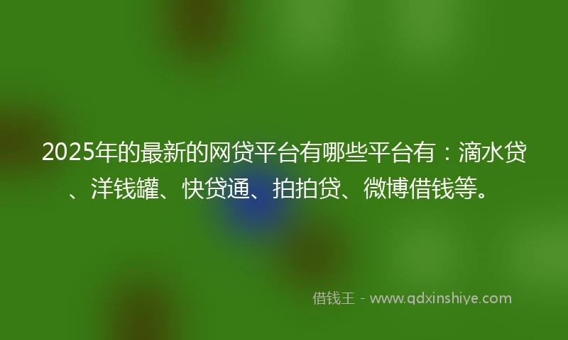 2025年的最新的网贷平台有哪些平台有：滴水贷、洋钱罐、快贷通、拍拍贷、微博借钱等。