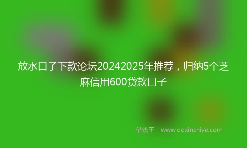 放水口子下款论坛20242025年推荐，归纳5个芝麻信用600贷款口子