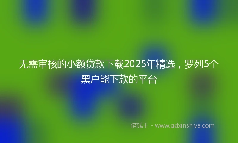 无需审核的小额贷款下载2025年精选，罗列5个黑户能下款的平台
