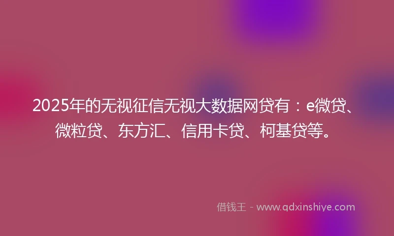 2025年的无视征信无视大数据网贷有：e微贷、微粒贷、东方汇、信用卡贷、柯基贷等。